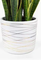Photo 1 of 12 Inch Ceramic Pot - Matte White with Metallic Gold Stripes - Drainage Plug Included