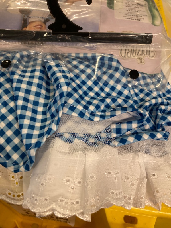 Photo 3 of Child's Wizard of Oz Deluxe Dorothy Costume Small One Color Standard Packaging