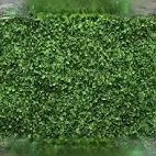 Photo 1 of CHAIYA 7X5FT Green Leaves Backdrop Greenery Leaf Wall Background Jungle Theme Baby Shower Party Wedding Shower Party Bridal Shower Photo Props Cake Table Decor 066 7*5FT