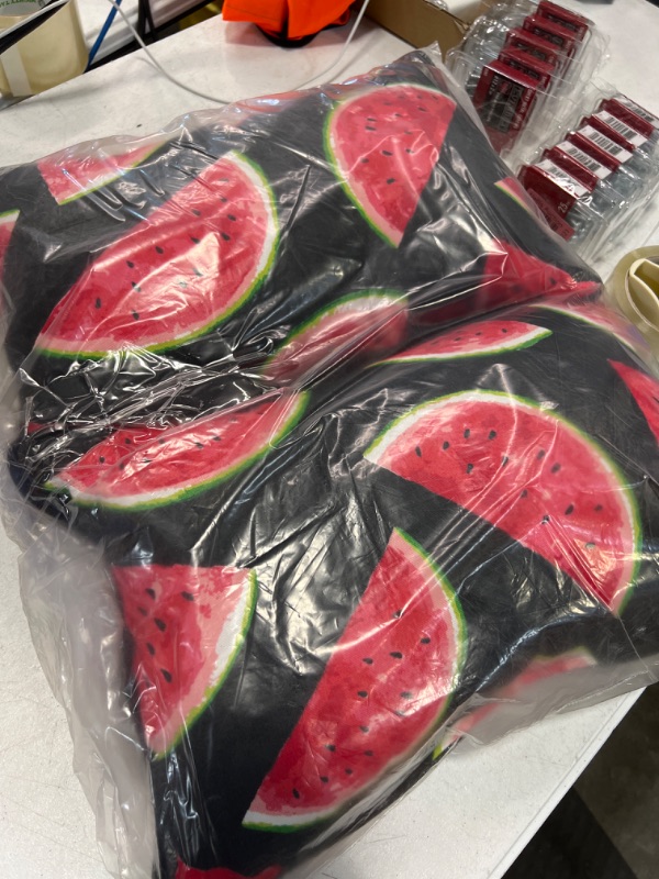 Photo 1 of 2 pack Watermelon Throw Pillows 16 x 12