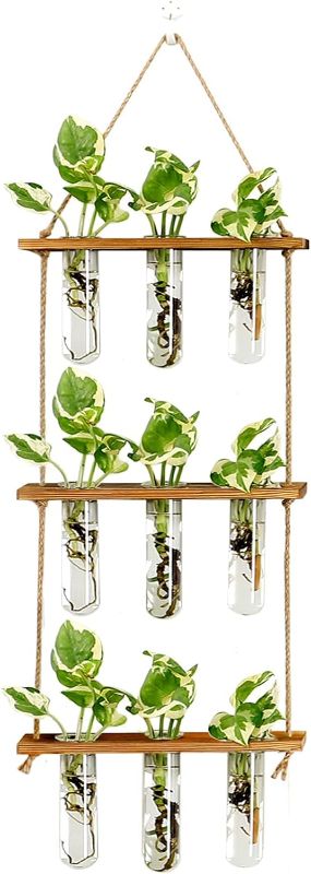 Photo 1 of XXXFLOWER Wall Hanging Propagation Station with Wooden Stand Glass Test Tubes Tiered Planters Wall Terrarium for Home Office Plant Hanger Flower Vases Wall Decor Hydroponic Cuttings (9 Tube Vases)