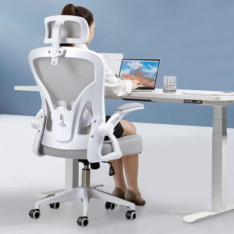 Photo 1 of Darkecho Office Chair,Ergonomic Desk Chair with Adjustable Headrest and Lumbar Support,High Back Mesh Computer Chair with Padded Flip-up Armrests,Swivel Task Chair,Tilt Function,Grey
