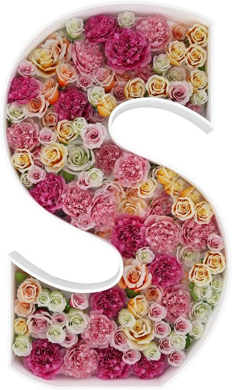 Photo 1 of 2FT Letter S Mosaic Balloon Frame Letter DIY Fillable Letters Kit for Birthday Party Wedding Backdrop Decor 