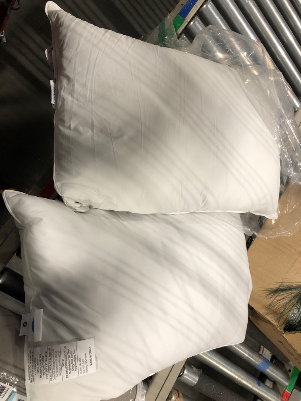 Photo 1 of 2 pack of queen size pillows 