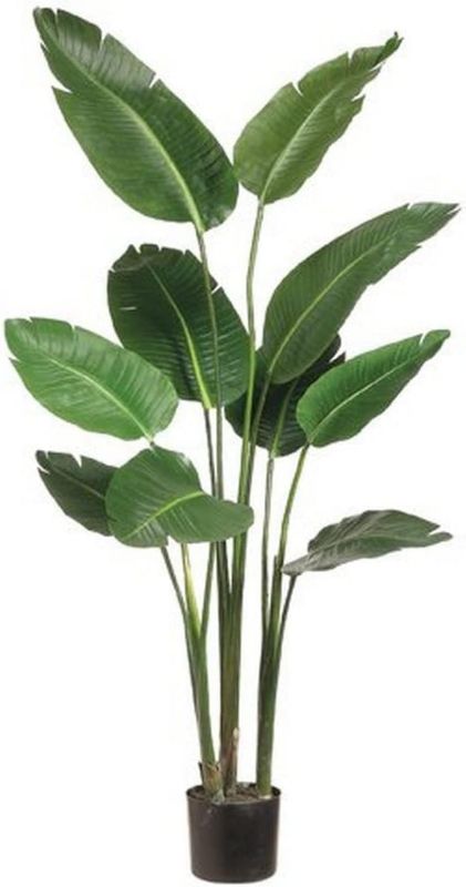 Photo 1 of  Bird of Paradise Artificial Plant, Comes with Black Pot, Large,Vibrant Banana Leaf Design, Faux Plants Indoor, Floor Plants for Living Room Decor, Ideal for Home Garden & Office