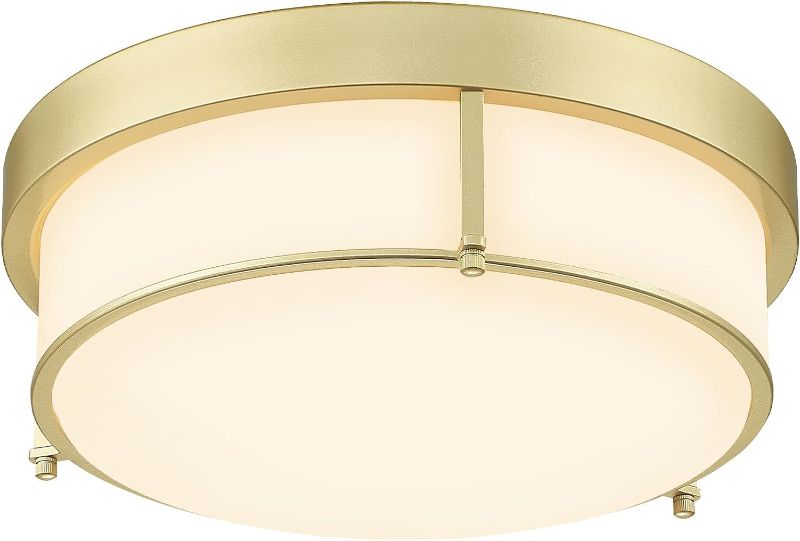 Photo 1 of Emliviar 3-Light Modern Ceiling Light Fixture, Vintage Flush Mount Light for Hallway Kitchen Bedroom, Gold Finish with White Frosted Glass Shade, GE263MF AG