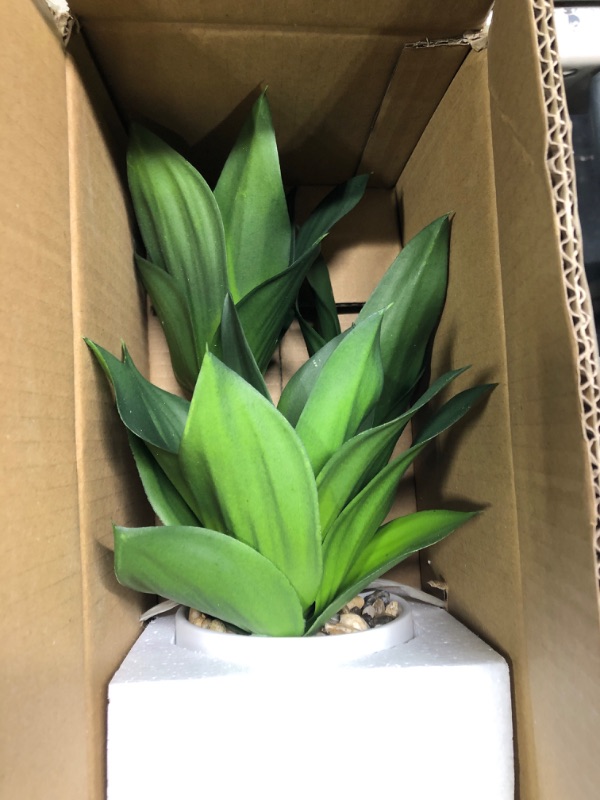 Photo 1 of 
Hollyone Artificial plant 