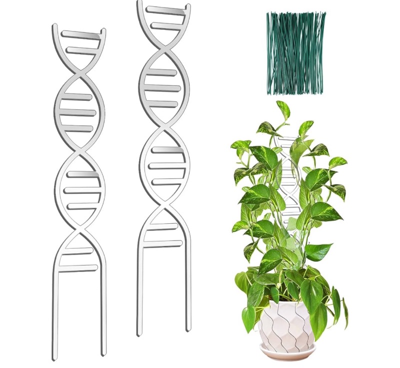 Photo 1 of 17.5 Inch Indoor Plant Trellis for Climbing Plants,Plastics Small Garden Trellis for Potted Plants,Plant Stakes for Indoor Plants Accessories,Plant Support Hoya,Flower (DNA)