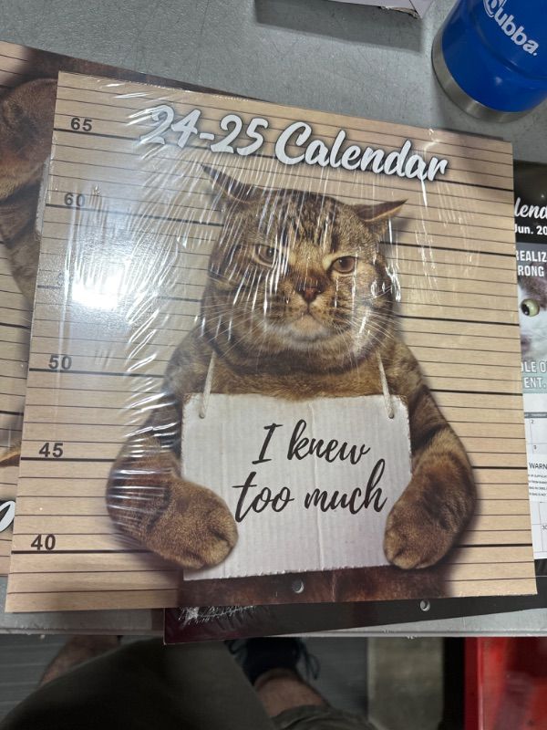 Photo 2 of 2025 Wall Calendar - Funny Cat Calendar 2024-2025, SEP. 2024 - DEC. 2025, 16-Month Calendar, Funny Cat Memes Pics, 12" x 24" Opened