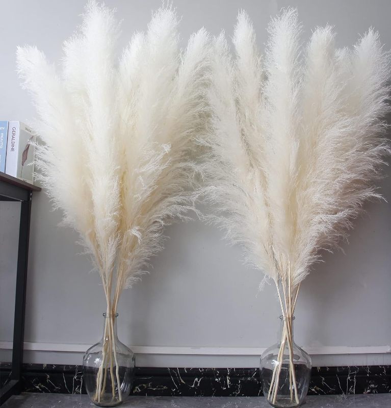 Photo 1 of 46" inch 10 Stems White Pampas Grass Decor Tall, Dry Flowers for Floor Vases Decor, Natural Dried Flowers for Wedding, Natural Home Decor, Wall Grass, Glam Decor