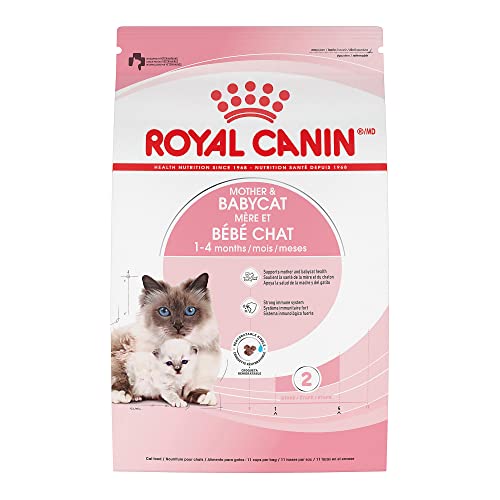 Photo 1 of Royal Canin Feline Health Nutrition Mother & Babycat Dry Cat Food, 3 Lbs. -- EXP NOV 2024
