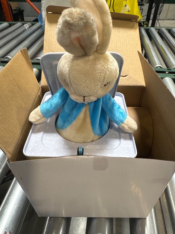 Photo 1 of Beatrix Potter Peter Rabbit Jack-in-The-Box, Multi-colored, Standard
