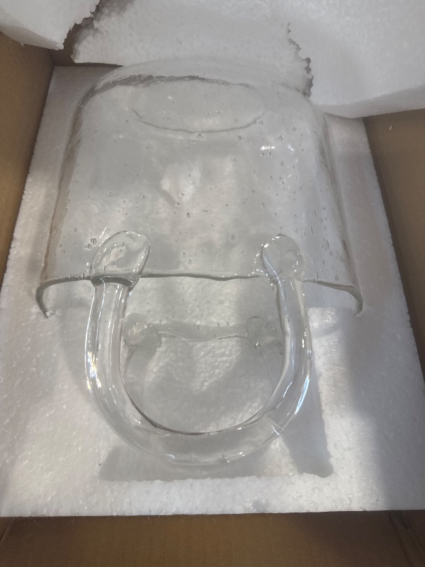 Photo 1 of Noamus Purse Vase for Flowers, Unique Clear Glass Bag Vase with Handle, Handbag Shape Flower Vase Fish Bowl, Wide Mouth Bubble Vase for Wedding Birthday Centerpieces, Home Garden Decor(Transparent)