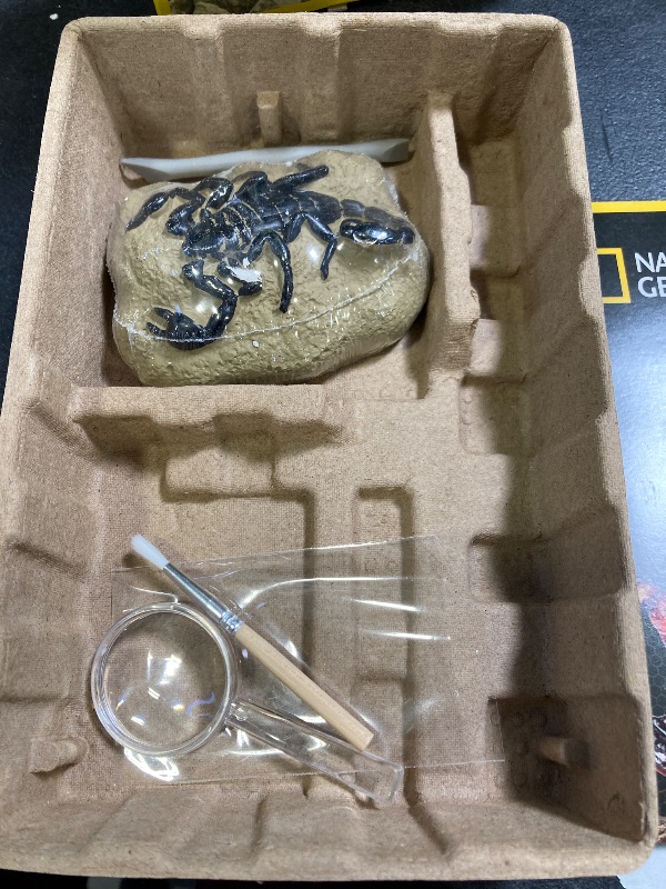 Photo 1 of NATIONAL GEOGRAPHIC Real Bug Dig Kit - Dig up 3 Real Insects Including Spider, Fortune Beetle and Scorpion - Great STEM Science Gift