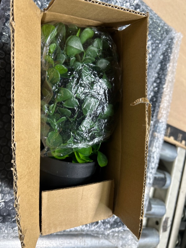 Photo 1 of ****USED** decor plant 