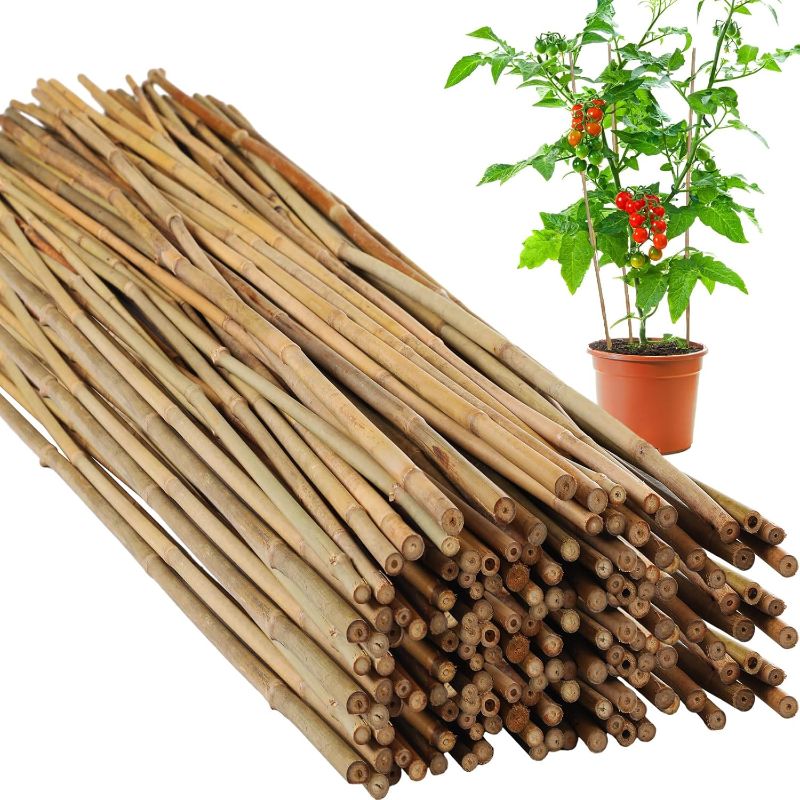 Photo 1 of 100 Pcs Bamboo Plant Stakes Plant Support Stakes Indoor and Outdoor Garden Sticks Garden Stakes for Tomato, Bean, Flowers, Trees Potted and Climbing Plant Support