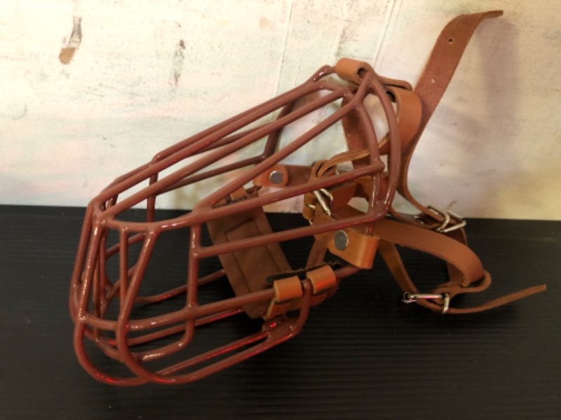 Photo 1 of Bozal Plastic Basket  