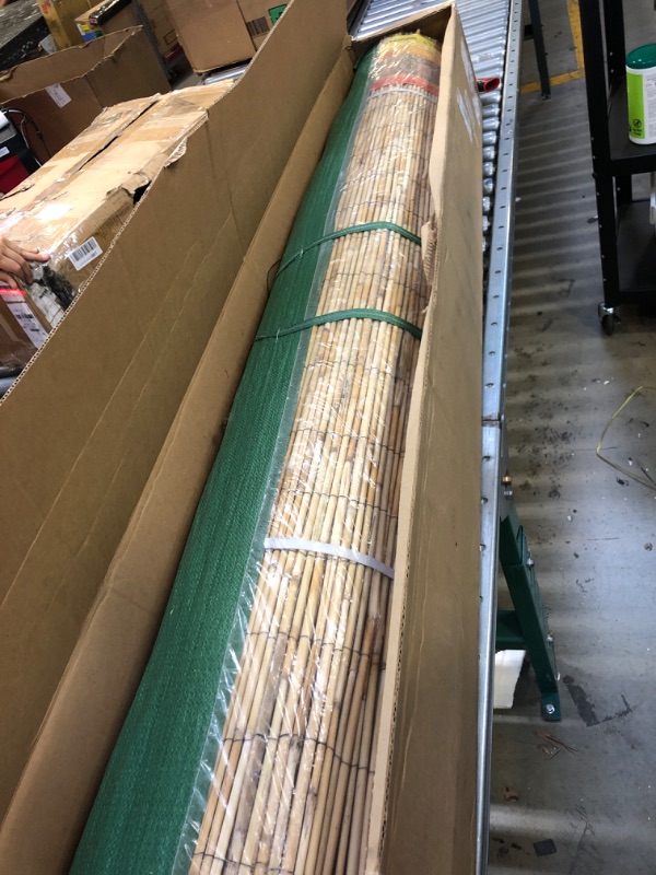 Photo 1 of 6 FT JUMBO REED FENCING 