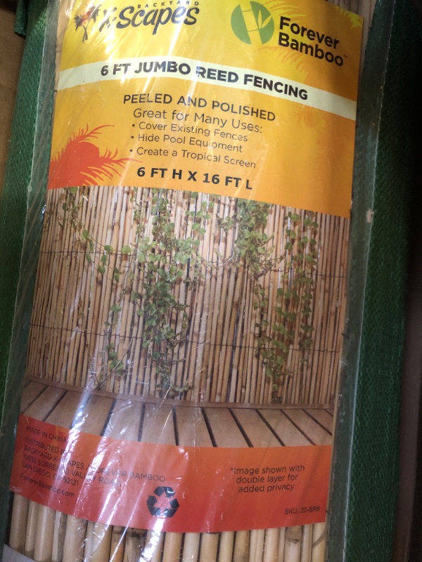 Photo 1 of 6 FT JUMBO REED FENCING 