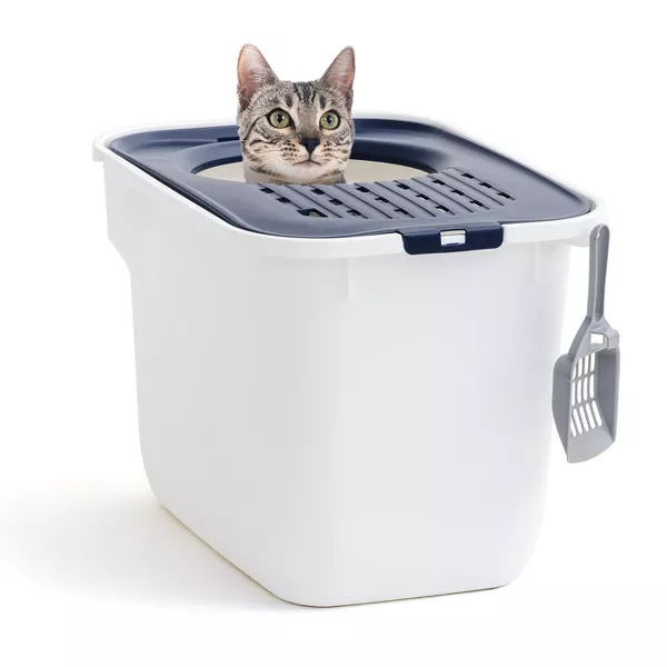 Photo 1 of  Top Entry Cat Litter Box with Litter Catching Lid, Privacy Walls and Scoop, Cat Pan