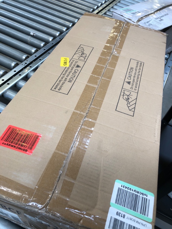 Photo 1 of WINGBO Ceiling Fan, 60 Inch Flush Mount DC with Lights, 4 Reversible Carved Wood Blades, 6 Speeds, Noiseless, Gloss White, ETL Listed 60" ceiling fan with light White