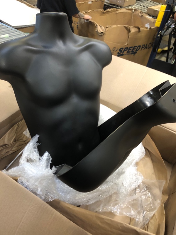 Photo 1 of 2 Pack Male Mannequin Torso