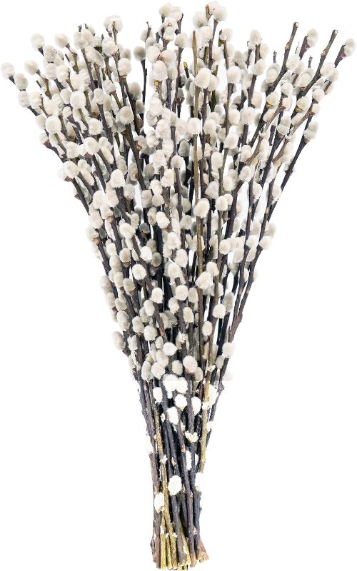 Photo 1 of 40 Stems 17.5 Inches 100% Real Natural Dried Pussy Willow Branches for Vase Pussy Willows Dried Flowers Pussywillow for Home Decorations, Wedding
