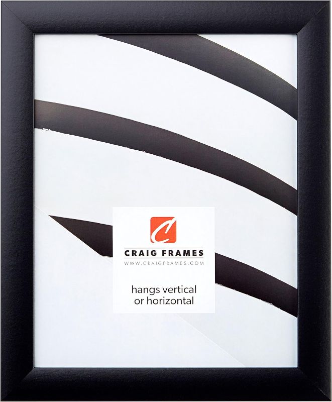 Photo 1 of ***factory direct product / damage box*** Craig Frames 1WB3BK 19 by 27-Inch Picture Frame, Smooth Finish, 1-Inch Wide, Black