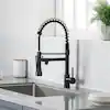 Photo 1 of 
FLG
Single-Handle Commercial Kitchen Sink Faucet with Pull Down Sprayer Kitchen Faucets 1-Hole Brass Laundry Tap Matte Black