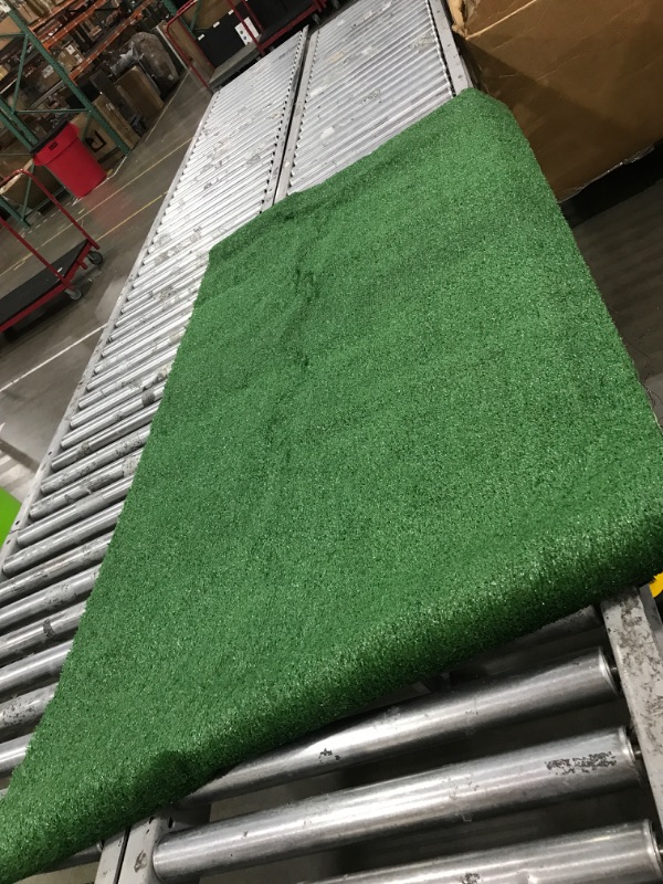 Photo 2 of 3' x 6' artificial grass