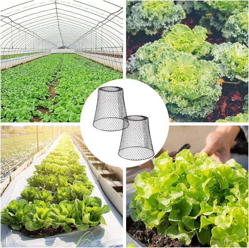 Photo 1 of 10 Pieces Chicken Wire Cloches Plant Cover, Sturdy Garden Wire Cloche Plant Protector, Metal Protective Cage for Garden Plants, Vegetables, Strawberries and Seedlings,Black (9.25×9inch)