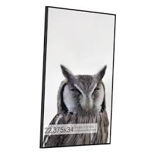 Photo 1 of 22.375x34 Metal Picture Frame without Mat, Brushed Aluminum 22.375x34- 1P Black
