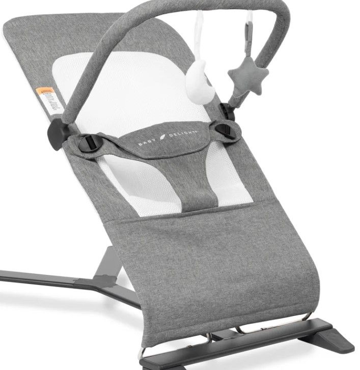 Photo 1 of 
Baby Delight Alpine Deluxe Portable Bouncer | Infant | 0 – 6 months | Charcoal Tweed
Color:Charcoal Tweed