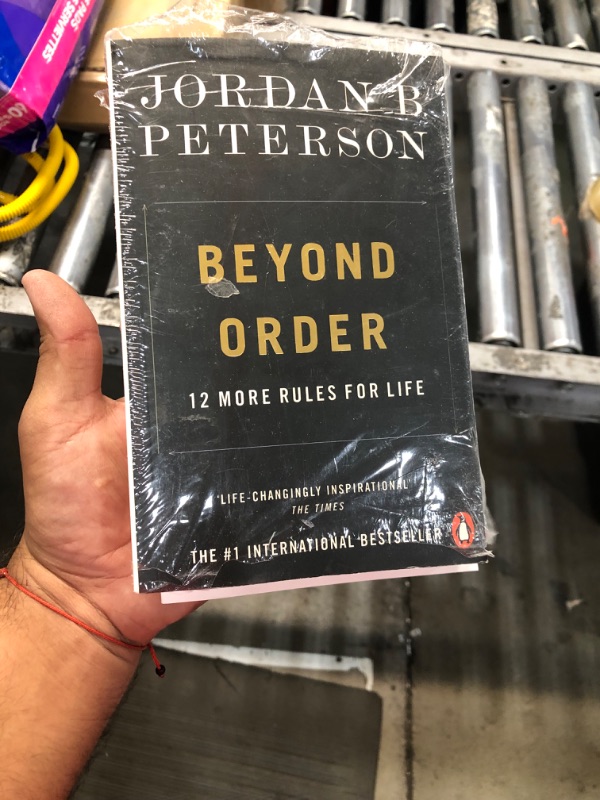 Photo 3 of 12 Rules for Life: An Antidote to Chaos and 12 more rules for life: beyond order