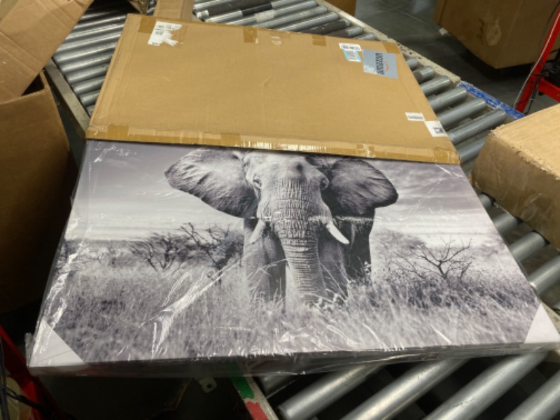 Photo 3 of ARTISTIC PATH Elephant Picture Canvas Wall Art: African Wild Animals Artwork Painting Print for Living Room (36''W x 24''H,Multi-Sized) ****USED*** 