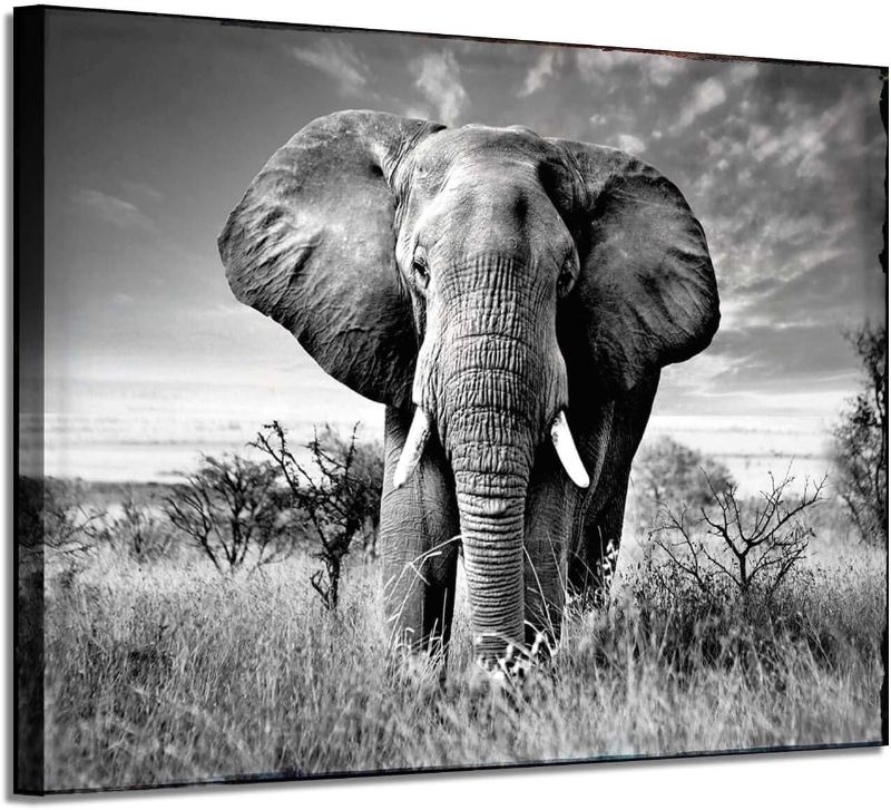 Photo 1 of ARTISTIC PATH Elephant Picture Canvas Wall Art: African Wild Animals Artwork Painting Print for Living Room (36''W x 24''H,Multi-Sized) ****USED*** 