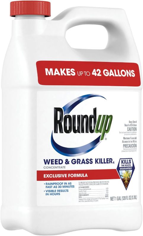 Photo 1 of Roundup  & Grass Killer? Concentrate, Use In and Around Flower Beds, Walkways and other areas of your yard, 1 gal.