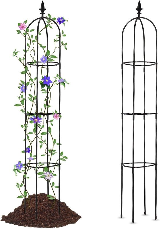 Photo 1 of 11mm rose climbing vine flower rack