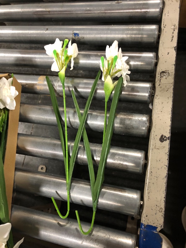 Photo 1 of 10 Pcs Artificial Daffodils Flowers White Narcissus Spring Flower Fake Silk Flower Arrangement for Home Wedding Outdoor Front Door Decor (10, White) 10 White
