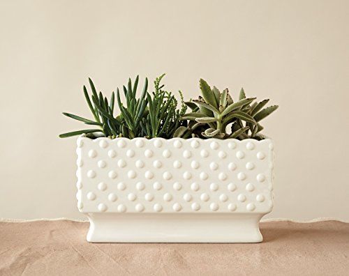 Photo 1 of 11.25 in. L X 5.75 in. W X 6 in. H 7 Qts. White Ceramic Hobnail Decorative Pots with Scalloped Edge and Polka Dots
