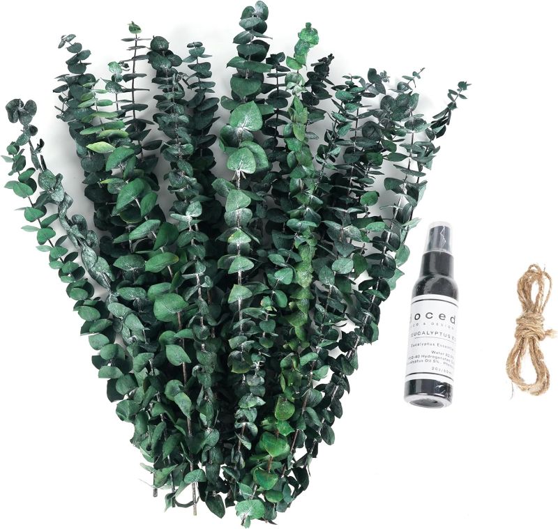 Photo 1 of 
Roll over image to zoom in







24 Pcs Dried Preserved Eucalyptus Stems, 17" Real Eucalyptus for Shower Hanging,100% Made from Eucalyptus Leaves, with 20 Oz Eucalyptus Spray Diffuser, Wedding, Home Decor, Dried Flowers, DIY.