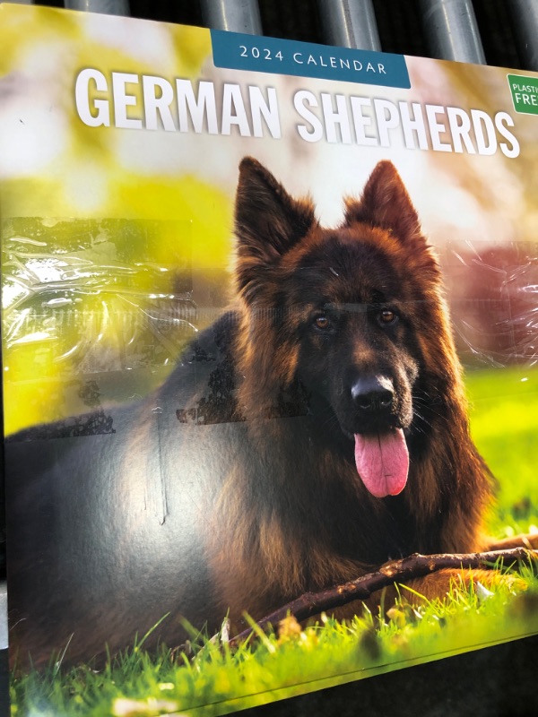 Photo 3 of 3 PACK 2024 German Shepherds Wall Calendar by Red Robin, 12 x 12