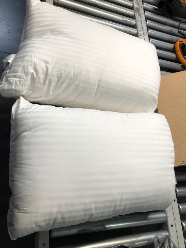 Photo 3 of (READ FULL POST) OEKO TEX STANDARD 100 Pillows Set of 2