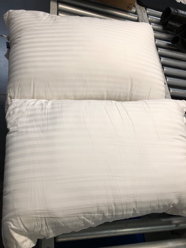 Photo 4 of (READ FULL POST) OEKO TEX STANDARD 100 Pillows Set of 2