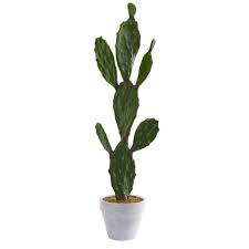 Photo 1 of **NONREFUNDABLE**FOR PARTS OR REPAIR**SEE NOTES**
37 in. Indoor Cactus Artificial Plant
