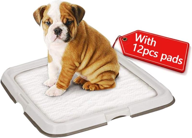 Photo 1 of PAWISE Dog Training Pad Holder Tray, Indoor Puppy Potty Pee Pad Floor Tray with 12pcs Pee Pads - 22''X22''
