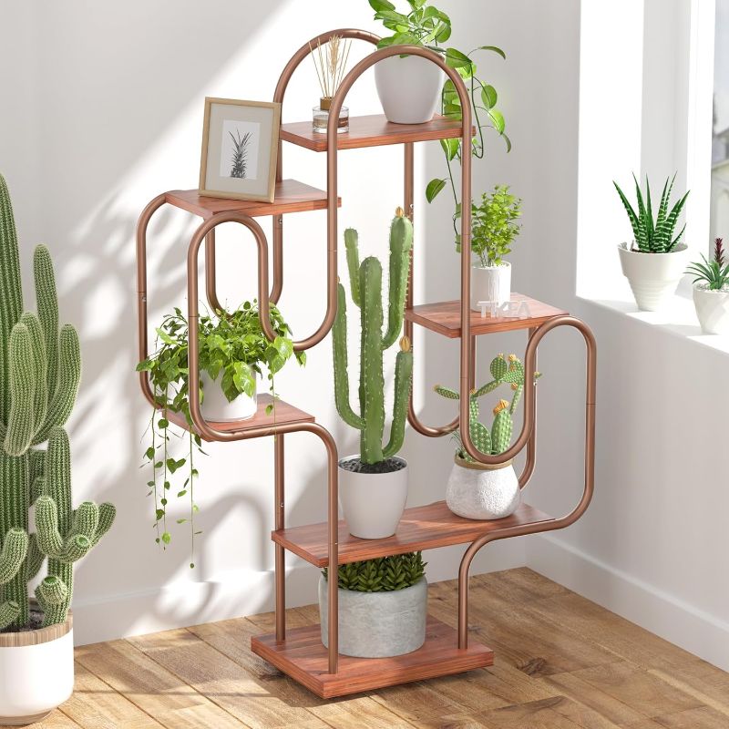 Photo 1 of  Cactus Plant Stand Indoor, Corner Plant Shelf for Indoor Plants 