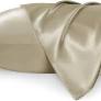 Photo 1 of Bedsure Satin Pillowcase for Hair and Skin Queen - Taupe Silky Pillowcase 2 Pack 20x30 Inches - Satin Pillow Cases Set of 2 with Envelope Closure, Similar to Silk Pillow Cases, Gifts for Women Men
