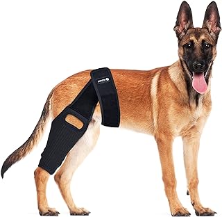Photo 1 of HUAME Dog Knee Brace, Dog Knee Brace for Torn ACL Hind Leg, Luxating Patella, Knee Cap Dislocation, Arthritis, Reduces Pain and Inflammation, with Side Stabilizers Dog Leg Braces (Black, S) https://a.co/d/5I7B6vi