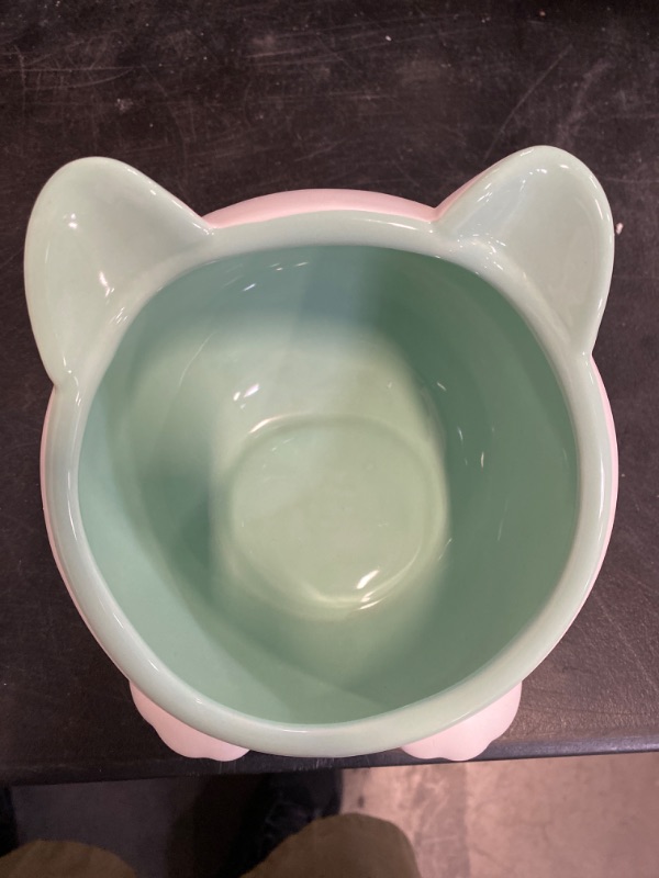 Photo 1 of Ceramic Raised Cat Bowls, Tilted Elevated Food or Water Bowl for Cats and Small Dogs, Stress Free Whisker Friendly